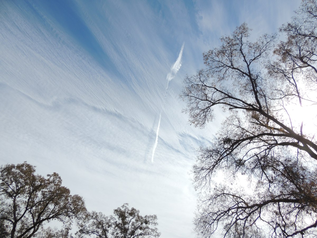 Science Fraud & Fantasy (part&nbsp;9)