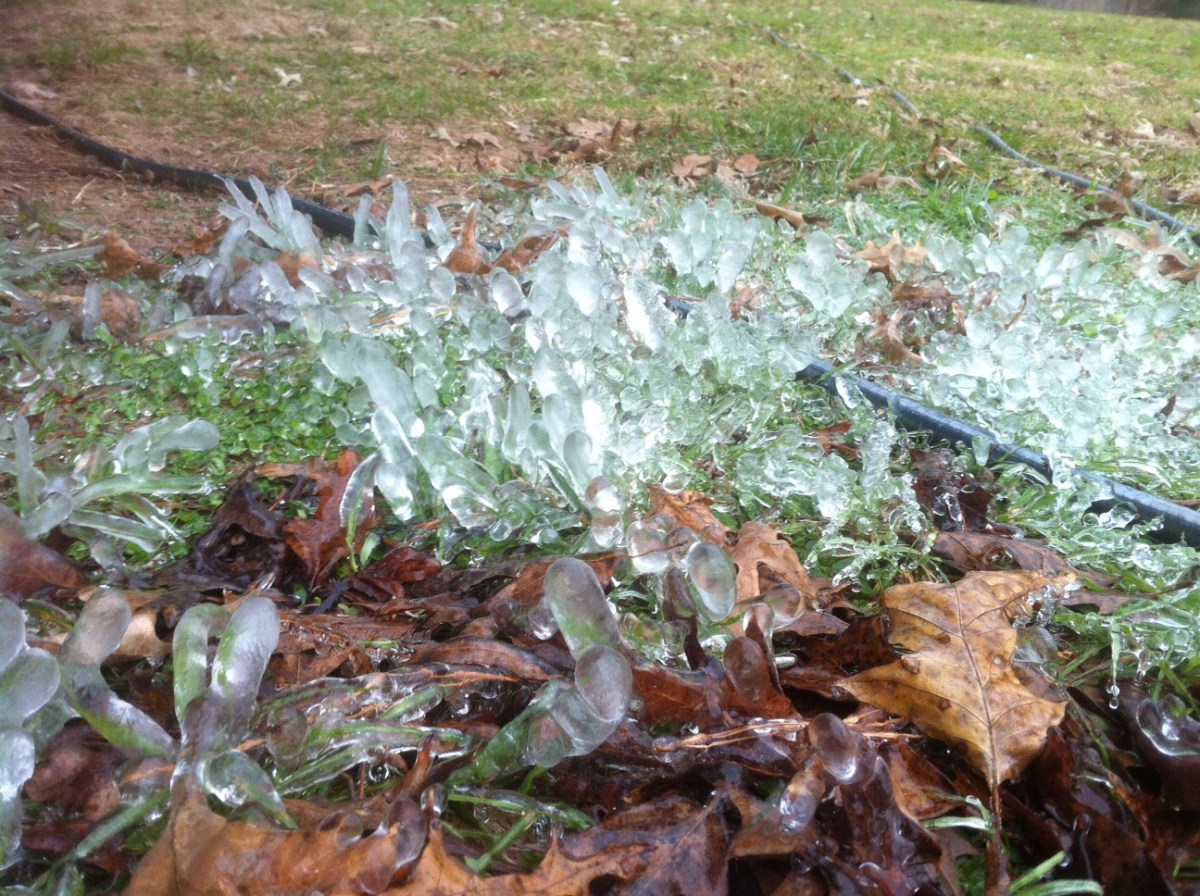 Science Fraud & Fantasy (part&nbsp;6)