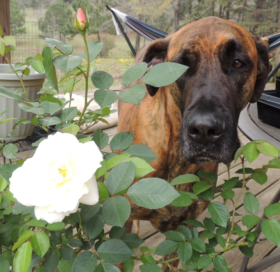 Part 18: Moon&nbsp;Shadow