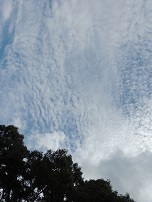 Part 21: Strawberry Fields&nbsp;Forever