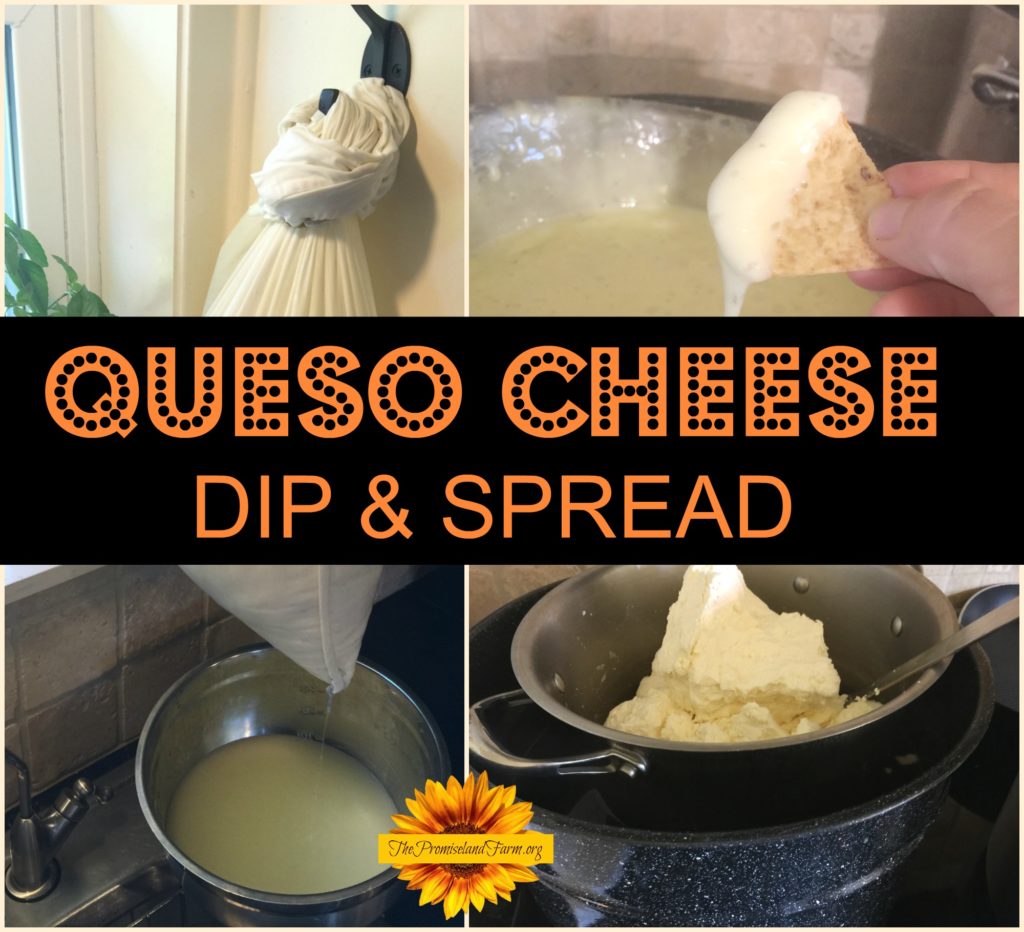 2016quesocheesedip-1024x932