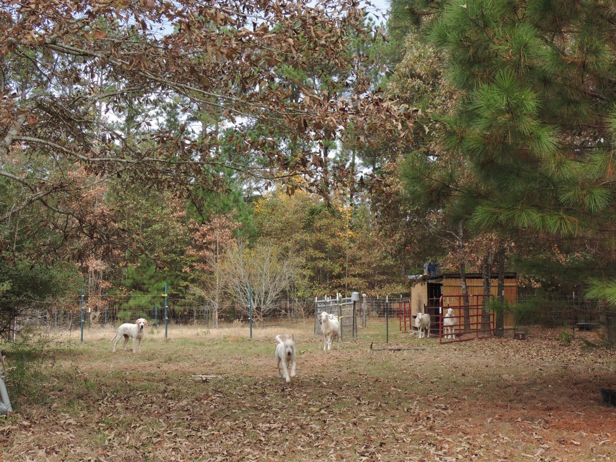 Reclaiming Time: Part IV,&nbsp;Finale