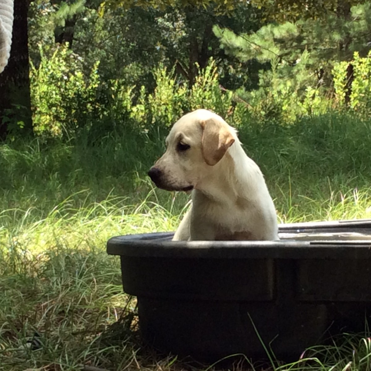 The Wisdom to Know the&nbsp;Difference