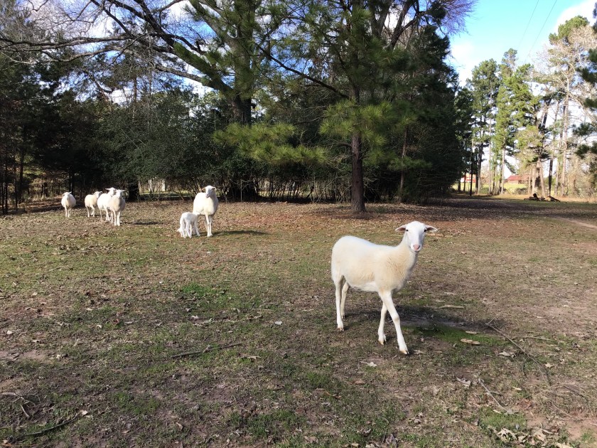 3fd37d20-e532-4788-924d-d24b8a71d2e3