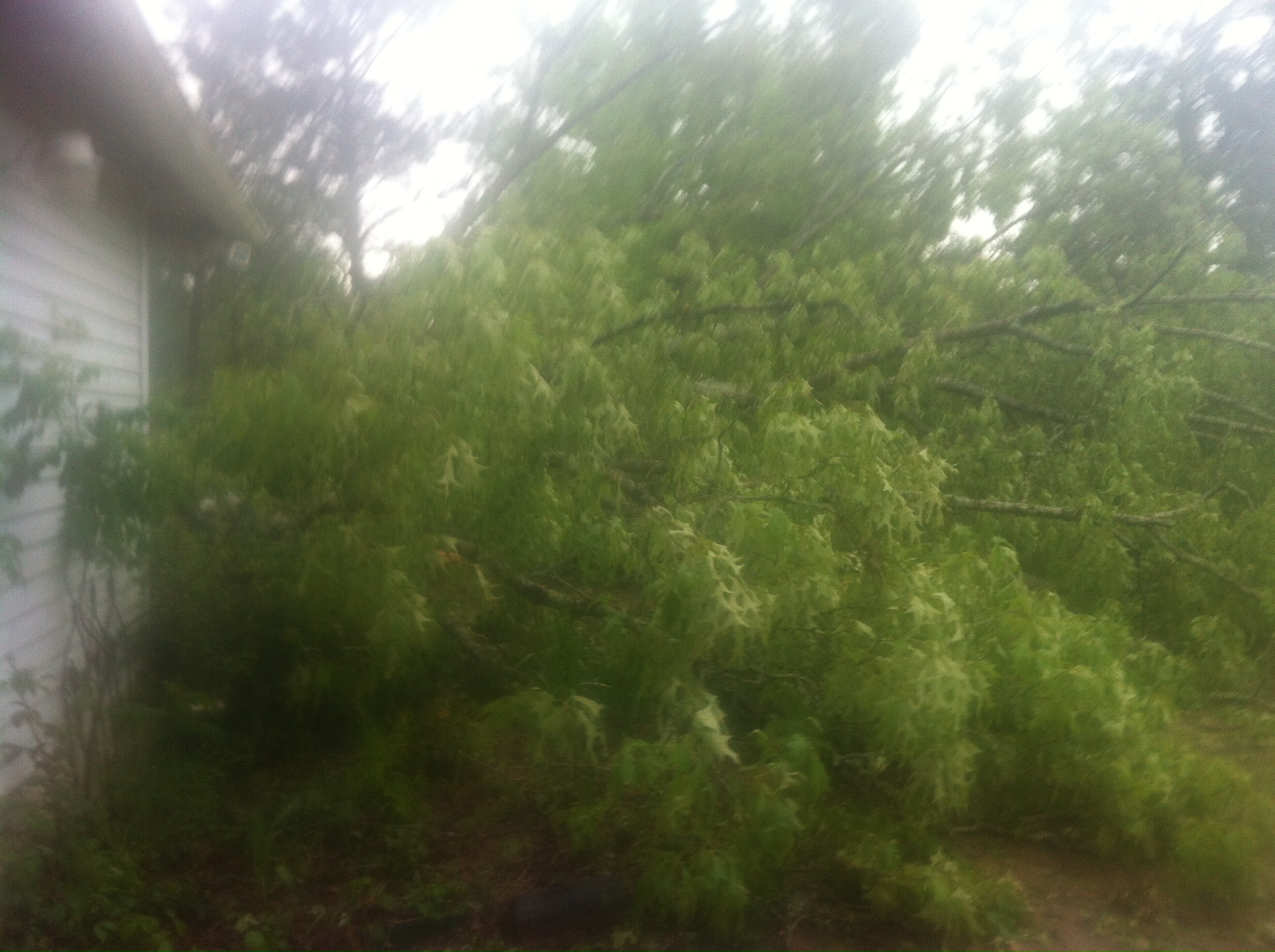 24B3267C-B296-468D-A7C8-F7392DF42849