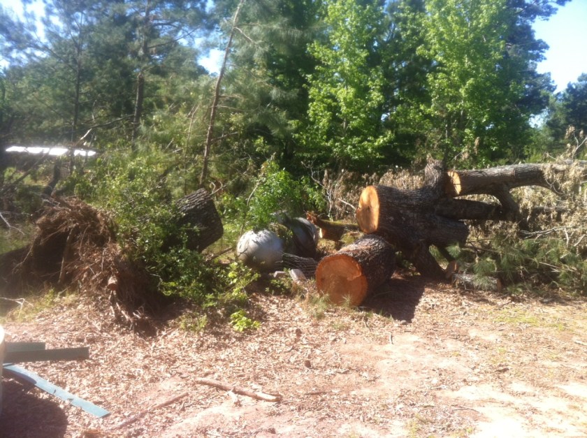 27A231E2-8145-4BF0-849A-AC2396EAC489