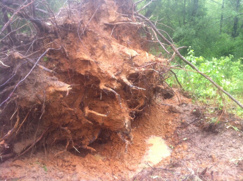 3073D695-0C36-4825-9A61-214F0E6016B3