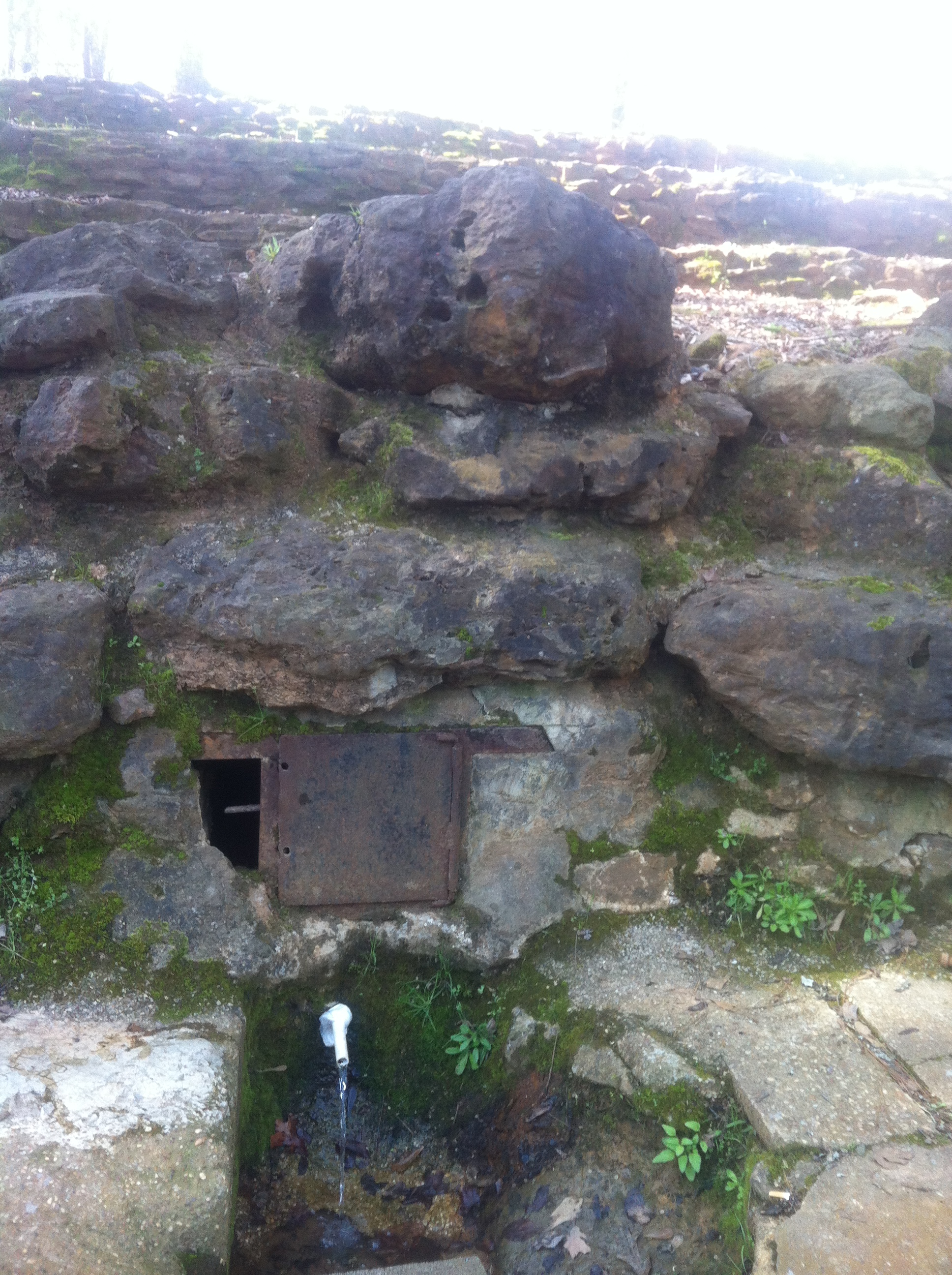 85BED08C-4482-4F65-94CA-5A93D0B7C4F7