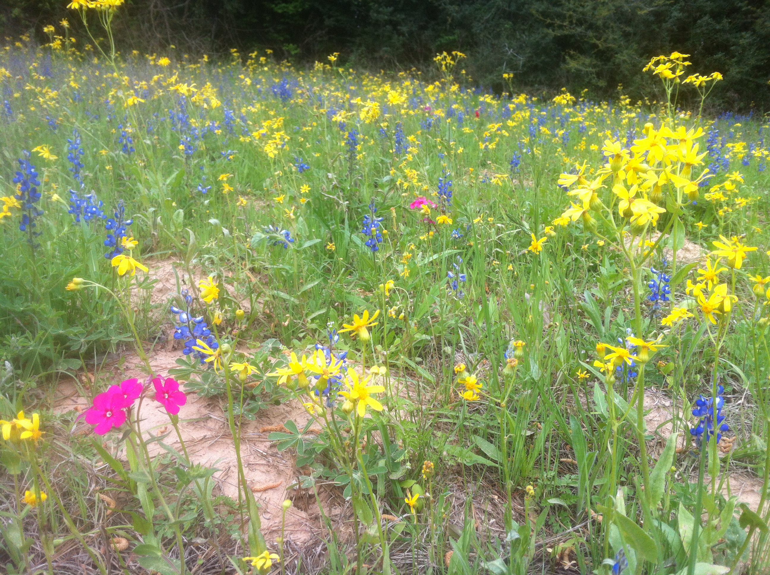 9AA7D36B-129A-43D8-9FBD-0E39B6A74CE7