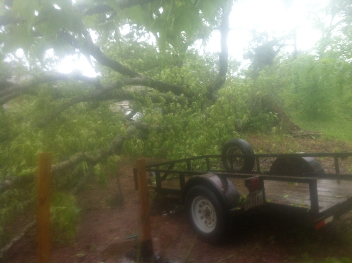 Conversations At Brunch