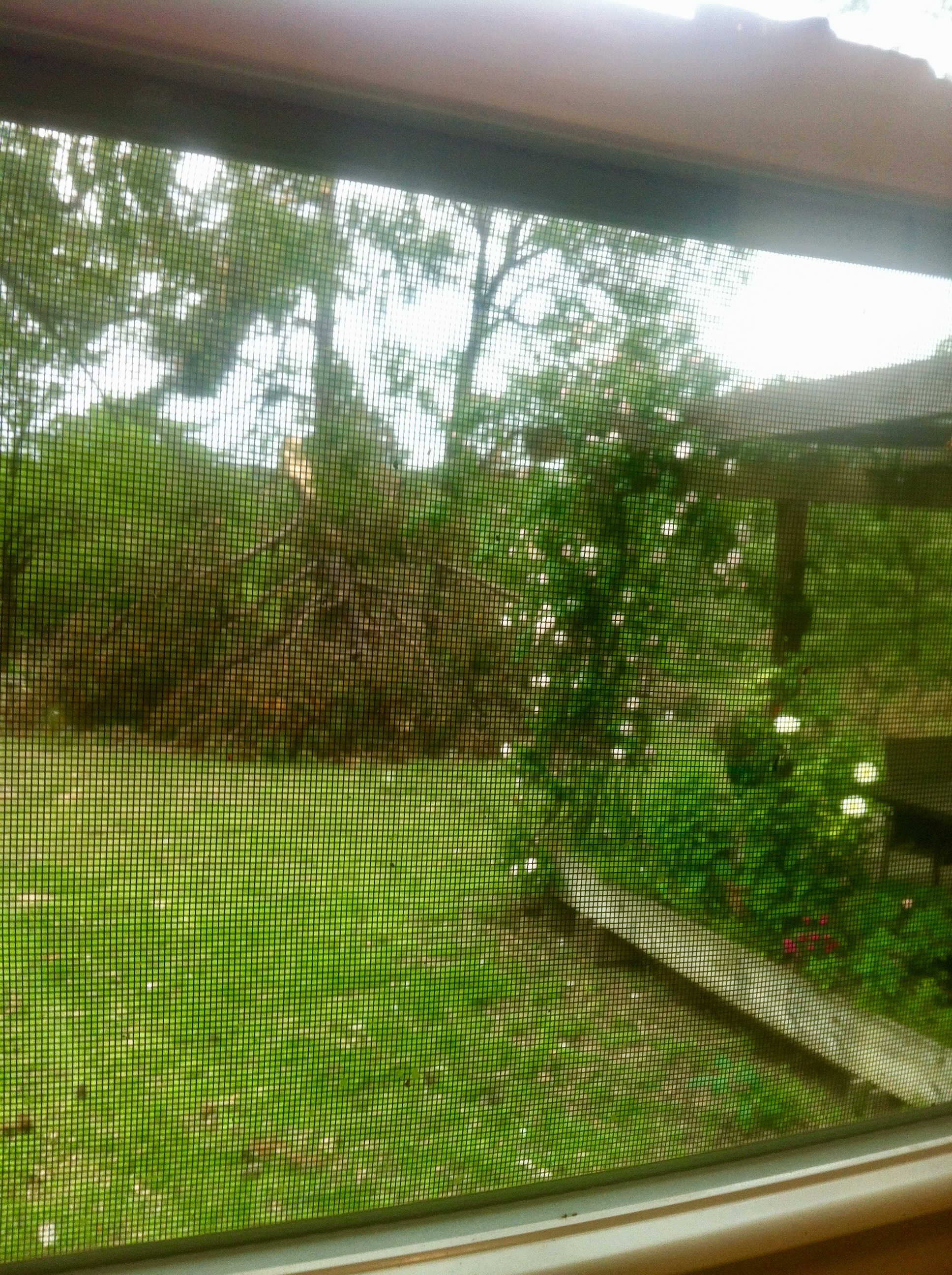 DCD476B5-07FF-48ED-9665-286C0B2D571D