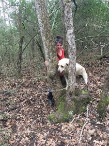 7EDB04AD-5F5A-40C6-89D0-4AD5BE45B6D2