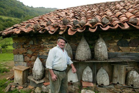 7F2043C5-3B92-4E89-8160-383EEC07801B