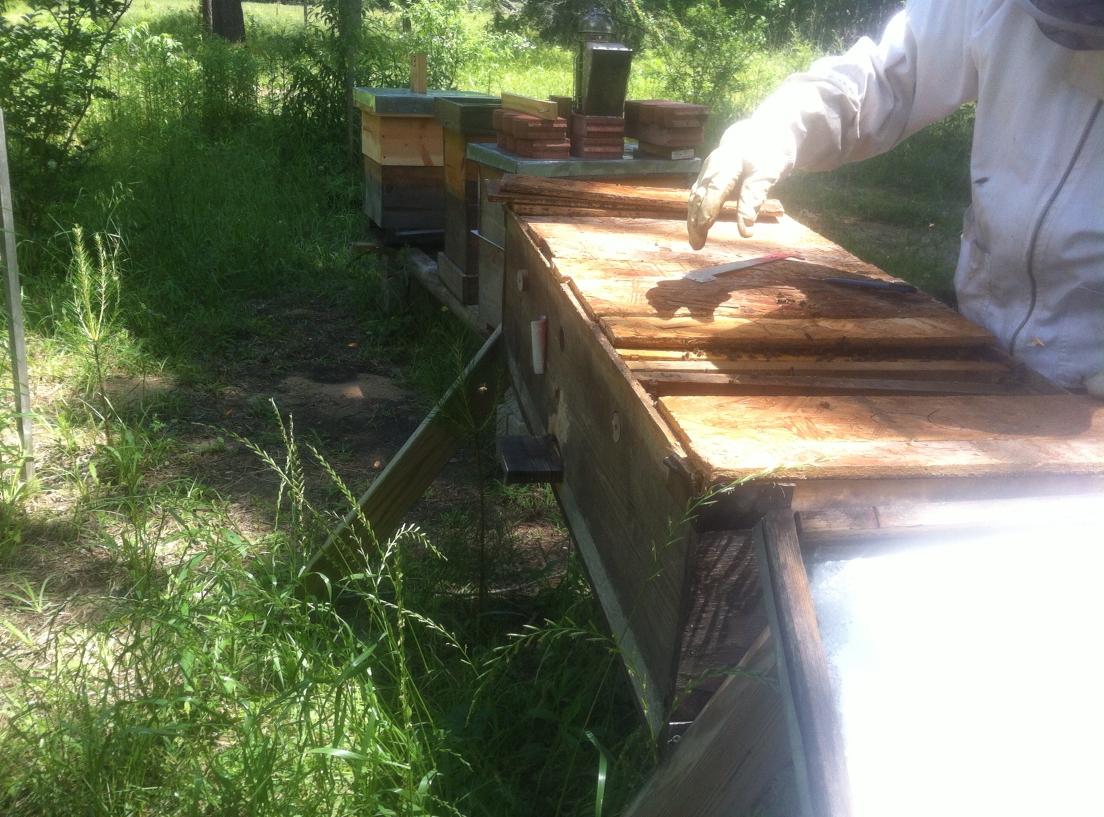 0A98CBDD-BF2C-478A-A48B-7CBF71767714