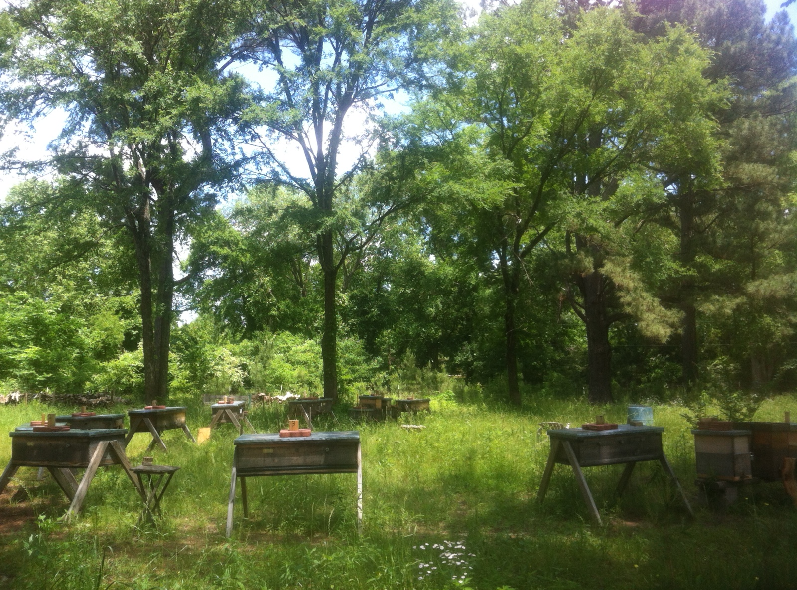 0F66DEAA-3033-44FD-AECE-B91386C6AE8A