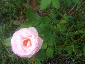 3DC49A0D-BB00-44F1-8D8B-13894CAFDC3C