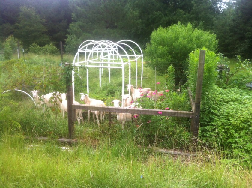 85F6D33B-6E44-4ACF-A288-2A82BFCAE4D2