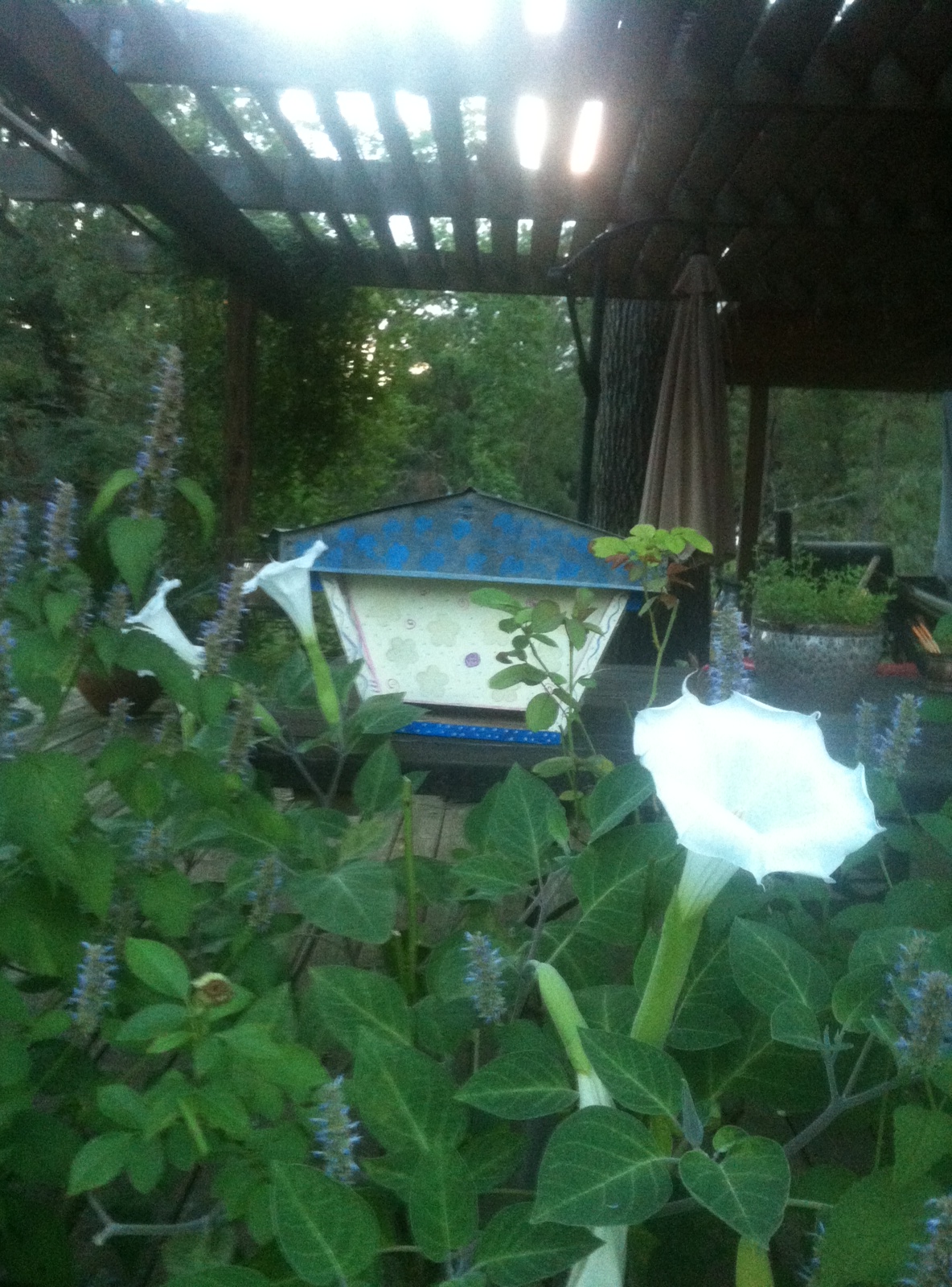 90C1B9A6-C815-4FAC-B841-8AF7A4FD1717