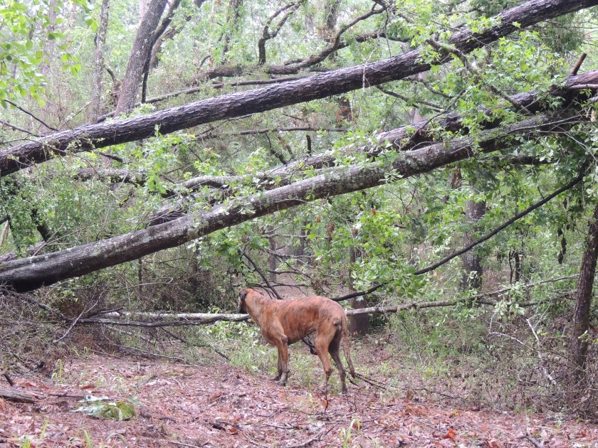 BE7E2441-5C49-4460-A650-79BE67B77BC1