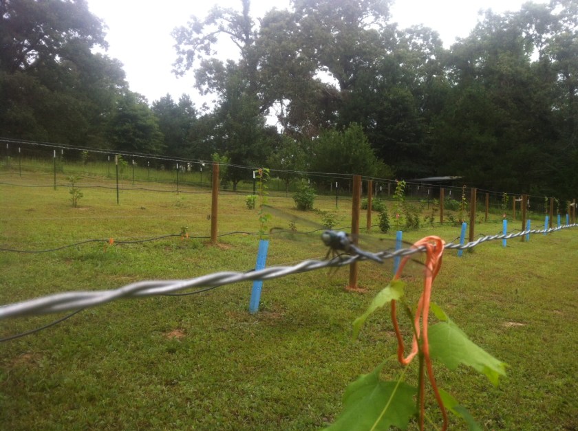 DF2E3819-B11C-4FFE-BEFF-48AA1D0B61A6