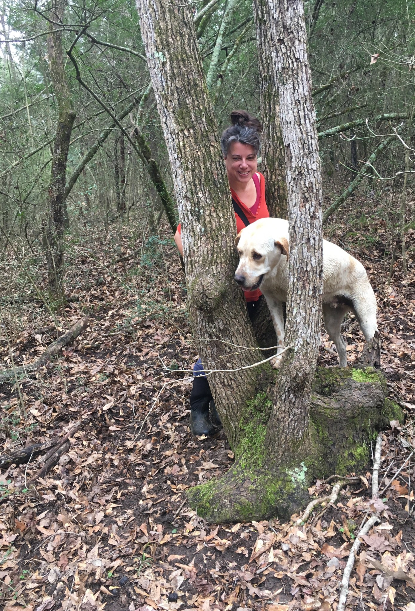 C7D11671-6368-4F52-9FF9-85281540A258