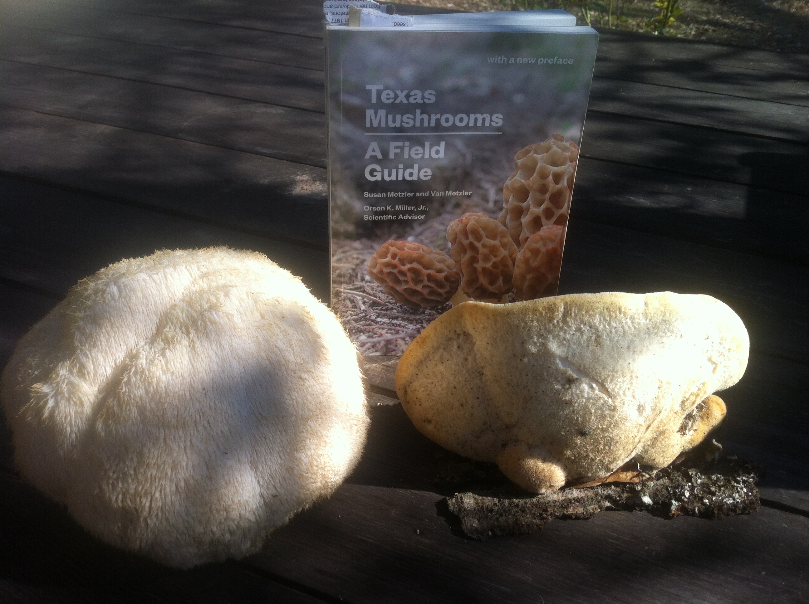 1C8BD3E2-C997-4537-A351-90281D4EF150