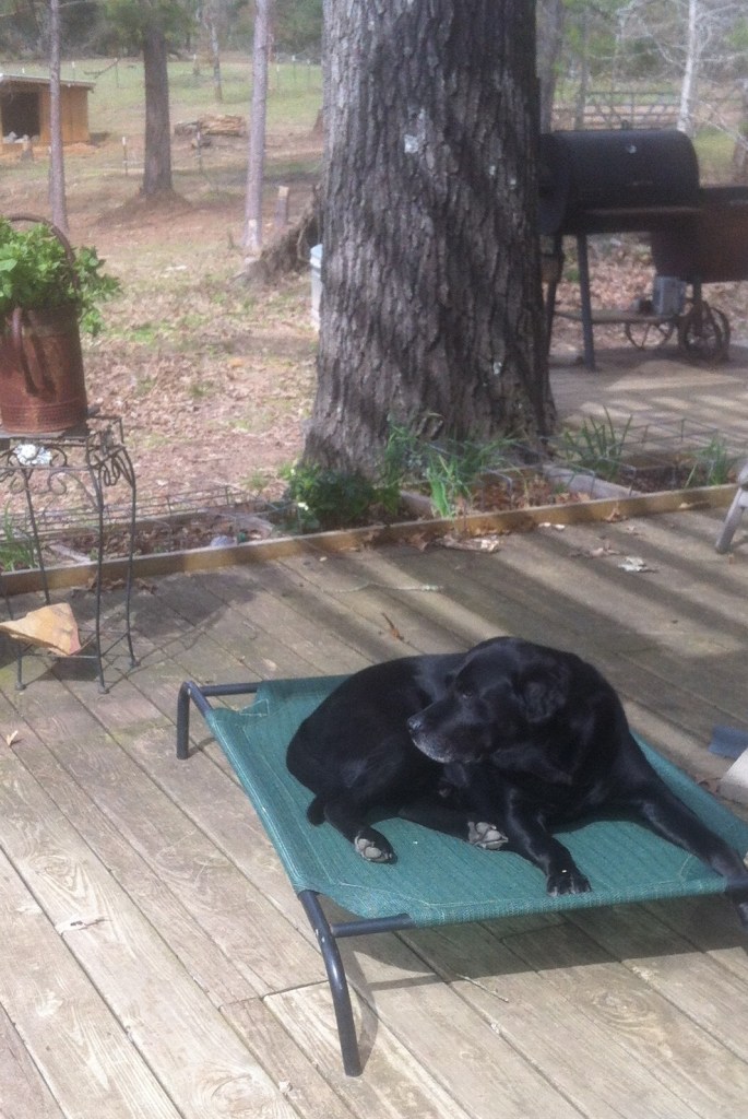 AD601CB3-0E44-408F-9784-5C78B436F843