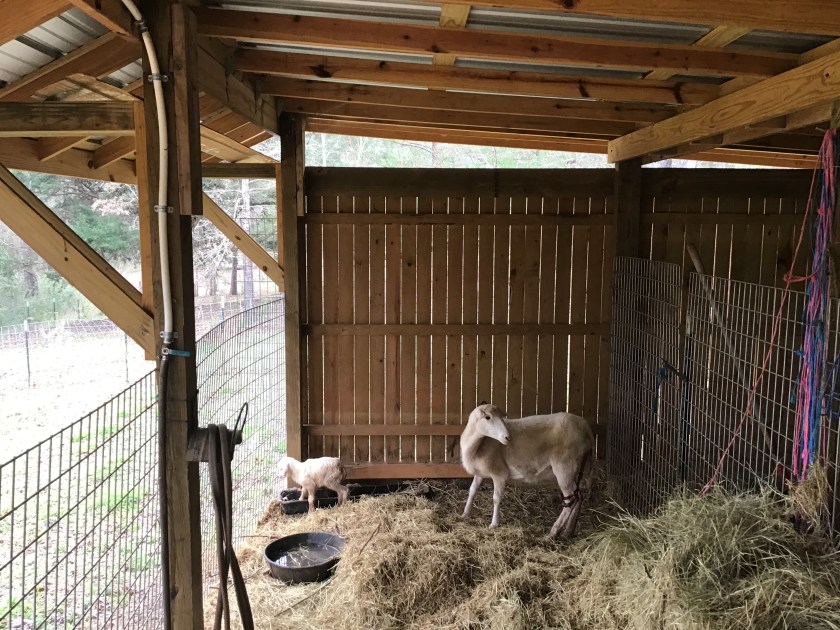 48C7BFDD-7CBB-4B36-89E9-AAE79304BC4E