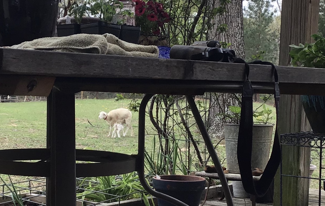 6820A0FD-A9A5-4447-BA0E-025127B04FE9