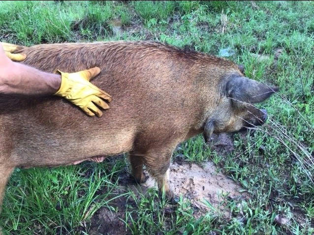 9979F87F-4448-42DE-B05C-4CA2DEE9FF0D