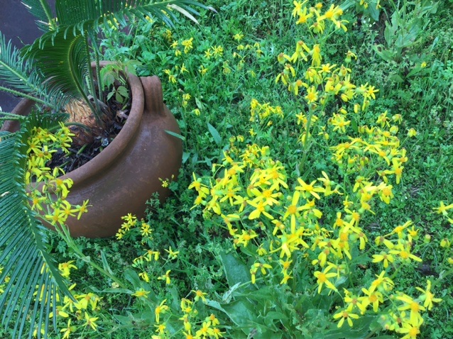 A68FCAFD-D6B5-4566-826B-5C44594BCB59