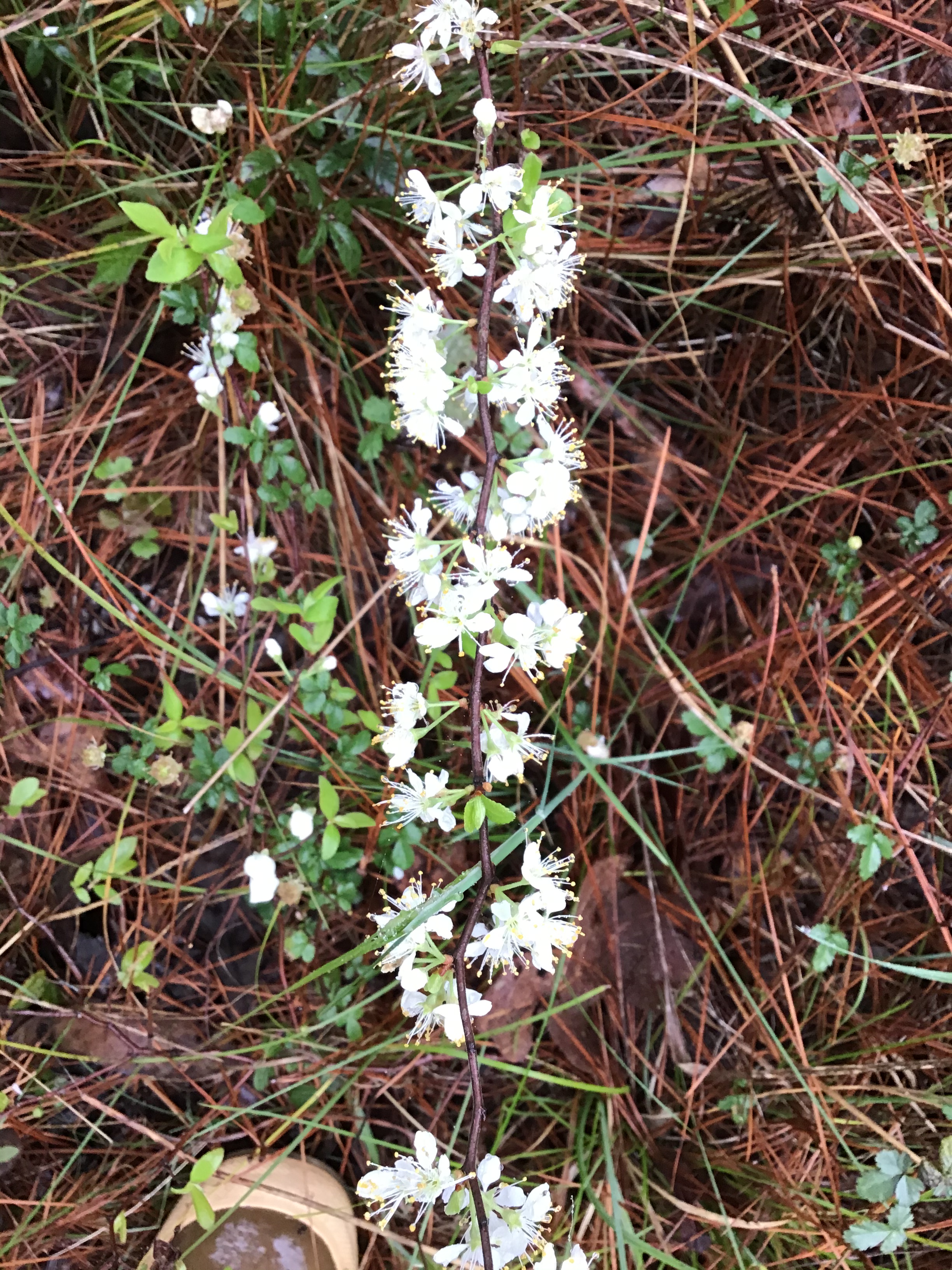 EA1E612A-ADEC-4AF4-AA78-7EA95AF9E35A