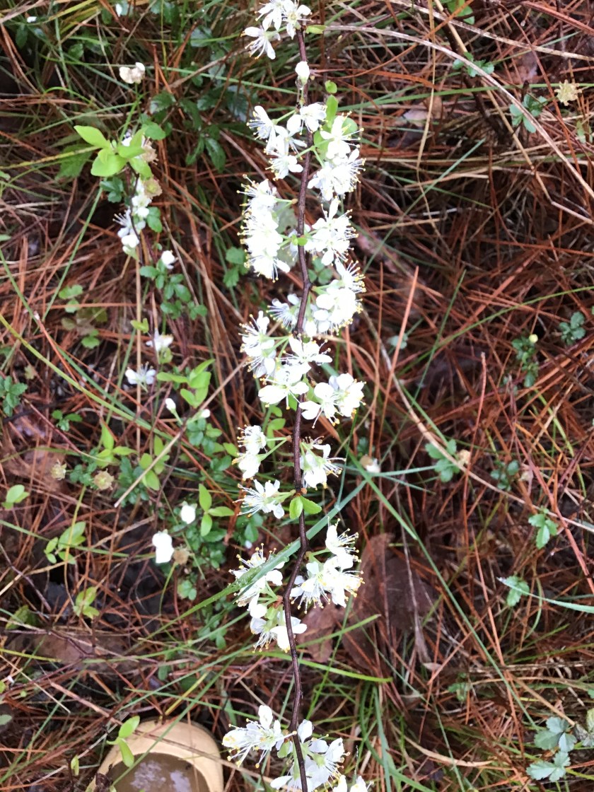 EA1E612A-ADEC-4AF4-AA78-7EA95AF9E35A