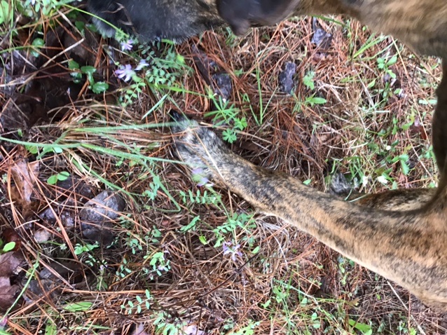 F752208D-5D30-4D03-9C30-392F71F4016E