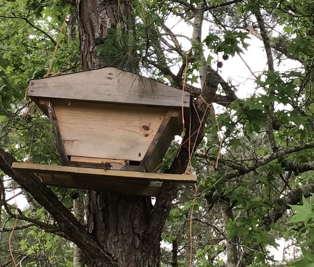 38BC1D0B-675A-45E8-BD4A-AD0659B43F0F