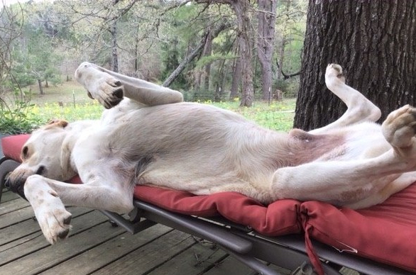 5EC15196-DC3F-41AD-81D2-8C6F00BDD837