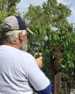 BA92191E-7591-4BC4-8AB7-C5CB10D676B9