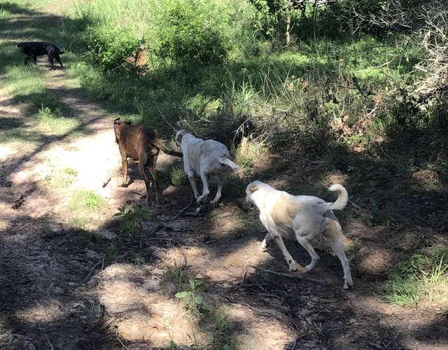 0358CC44-7CAA-4B88-8485-79DC3F717067