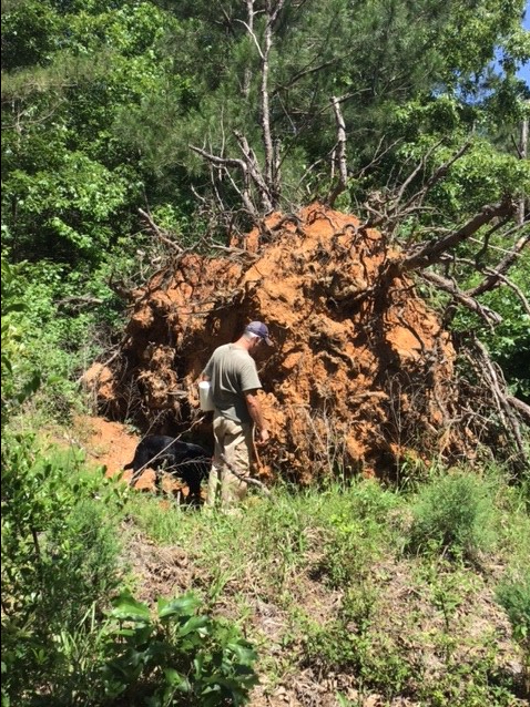 059A3392-9054-493A-BC71-FCA927811D60