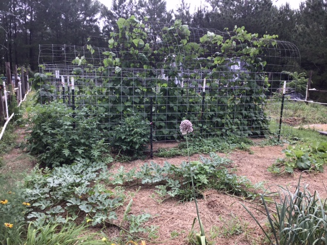 2E3C8BE5-2D2C-412C-8C35-9516D0126E69