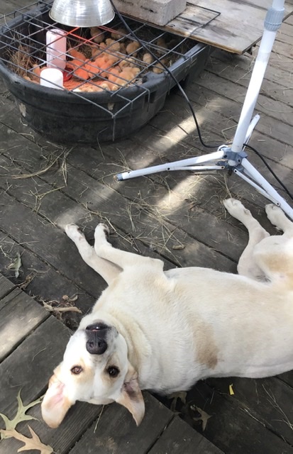 4C18456E-6797-4168-A924-8348EC3DF74F