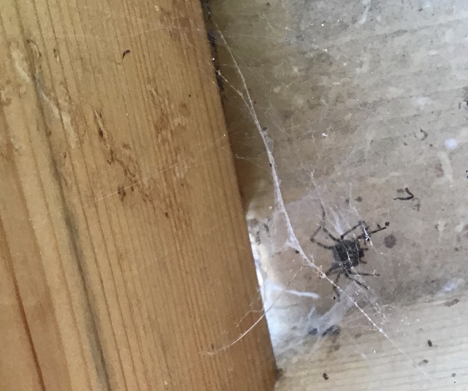 5D1F8F07-8ACC-444C-B0C0-B4C5B88BFD71