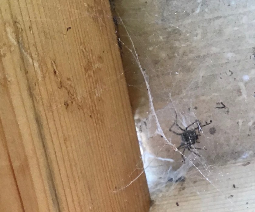 5D1F8F07-8ACC-444C-B0C0-B4C5B88BFD71