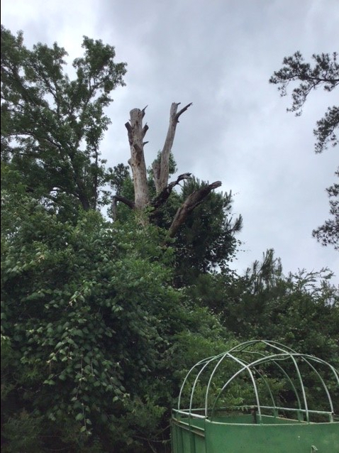 64AADB36-F204-48B5-9C17-325A14783D59