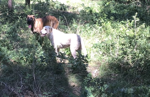 699FAD62-D924-4933-A31B-F875F57A7C4E