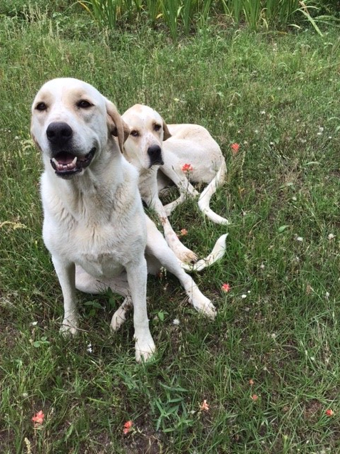 Homestead Happy Snaps