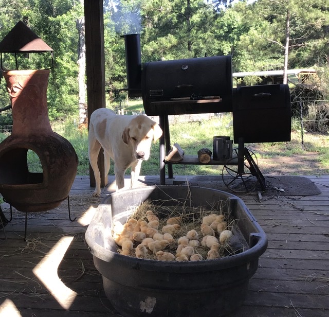 B0B69692-51DA-4B78-9E20-44F3F7F8D51C