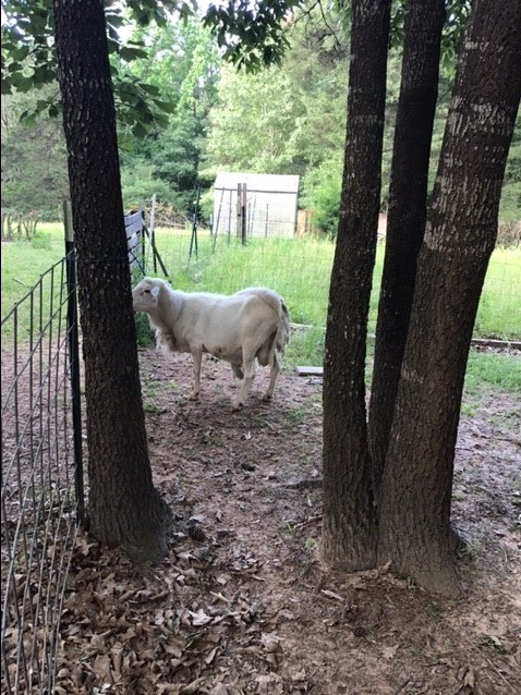 B7B30511-04B6-4DFF-8C14-9E7D50814E06