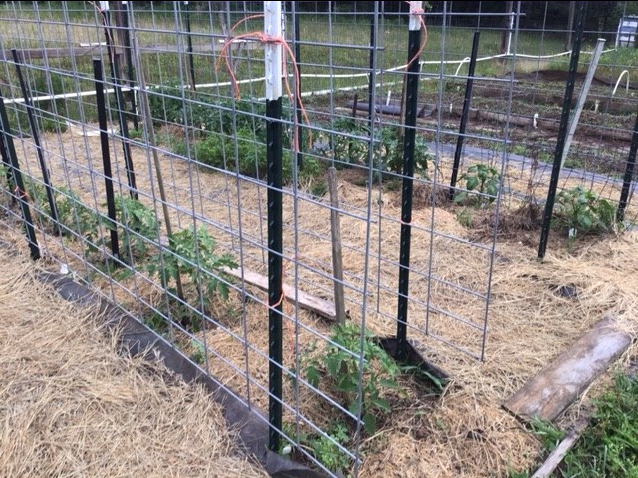 BD312791-927A-4C25-AE47-21A4BAED3C5A