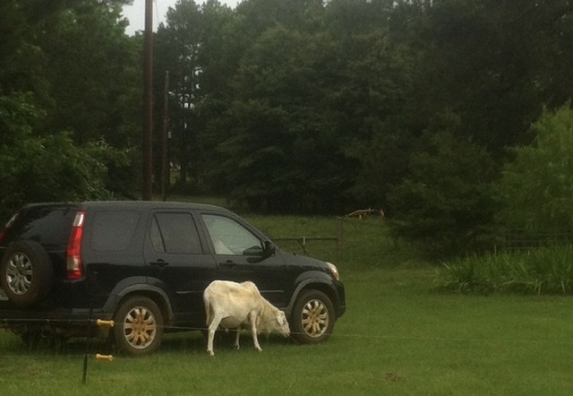 C5C82CF5-46AB-46A0-8E1F-6DE35827E8E8